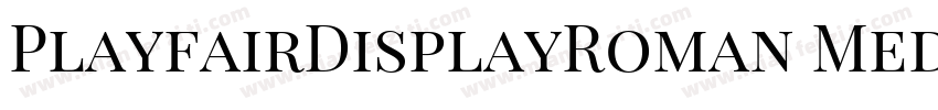 PlayfairDisplayRoman Medium字体转换